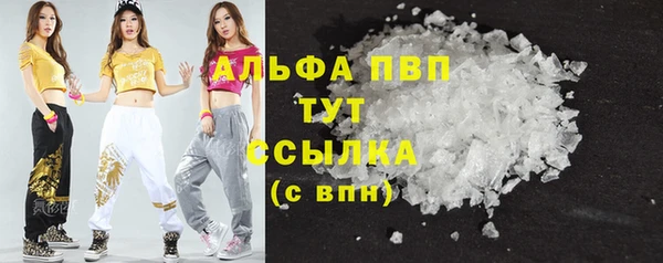стаф Белоозёрский